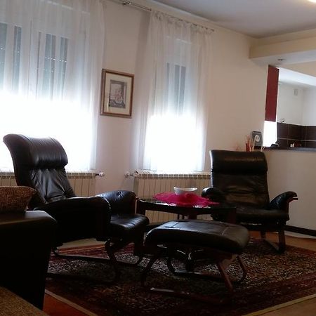 Apartment Krsmanovic Arandelovac Exterior photo